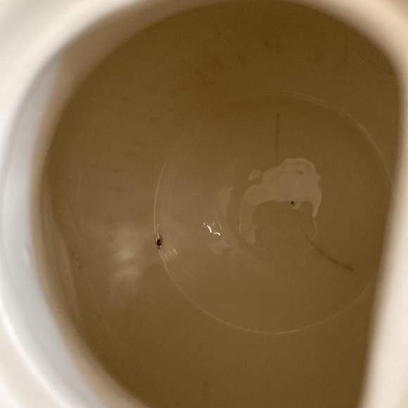 Rae Dunn teapot by  exclusive magenta with M stamp - Picture 9 of 10